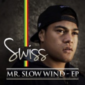 Mr. Slow Wind (EP) artwork