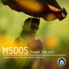 MsDos - Impressions