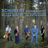 Schubert: String Quintet, Quartet in G, Quartet in D minor artwork