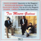 Trio Mauro Giuliani