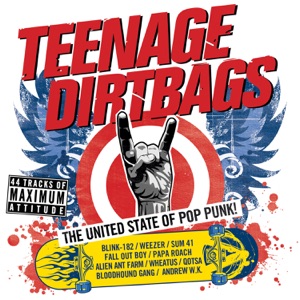 Teenage Dirtbag Artwork