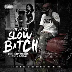 Slow Bitch (feat. Black Monroe, A2thak & J-Diggs) - Single by Pay Da Boy album reviews, ratings, credits