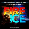 Fire & Ice (Remixes) [feat. Monchee] album lyrics, reviews, download