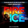 Fire & Ice (Remixes) [feat. Monchee], 2013