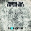 Mellow Trax - Phuture Vibes (Extended Club Mix)