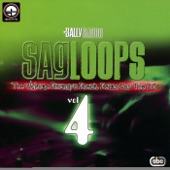 Sagloops Volume 4 - The Ultimate Bhangra Break Beats For the DJ artwork