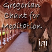 Gregorian Chant for Meditation artwork