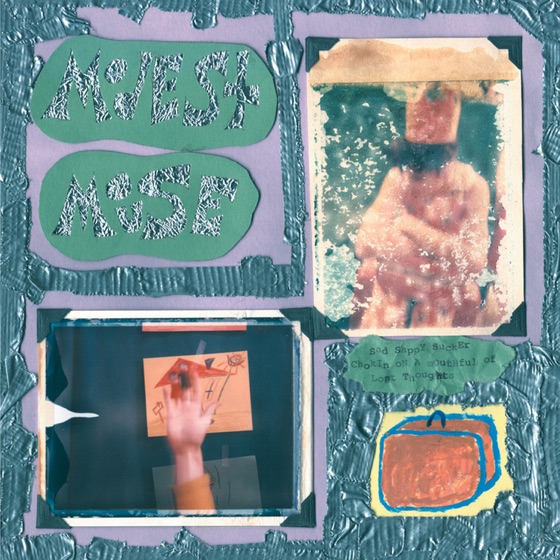 Cover artwork for Red Hand Case
