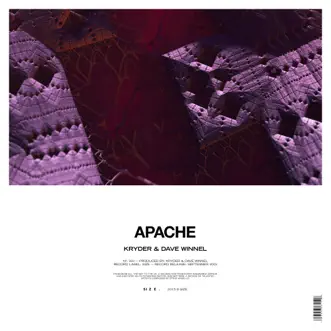 Apache by Kryder & Dave Winnel song reviws