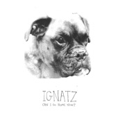 Ignatz - A Hard Day