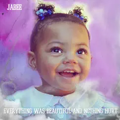 Everything Was Beautiful and Nothing Hurt by Jabee album reviews, ratings, credits