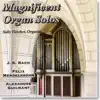 Magnificent Organ Solos album lyrics, reviews, download