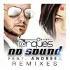 Stream & download No Sound (Remixes) [feat. Andreea]