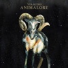 Animalore artwork