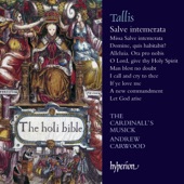 Tallis: Salve intemerata & Other Sacred Music artwork