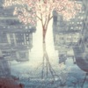 Samename — Gishiki