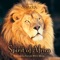 Pride of Lions - Dan Gibson's Solitudes lyrics