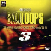 Sagloops Volume 3 - The Ultimate Bhangra Break Beats For the DJ artwork