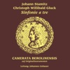 Camerata Berolinensis - Orchestral Trio in C Minor, Op. 4 No. 3: IV. Prestissimo