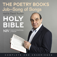 New International Version - NIV Bible 4: The Poetry Books (Unabridged) artwork