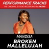 Broken Hallelujah (Performance Tracks) - EP, 2009
