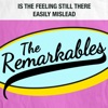 Is the Feeling Still There / Easily Mislead - Single