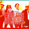 Endless Summer (feat. KES the Band) - Ricky Blaze