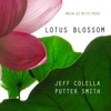 Lotus Blossom