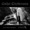 Violet Tears - Polvere