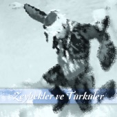 Çanakkale Türküsü artwork