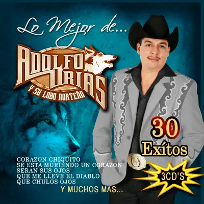 Lo Mejor de Adolfo Urias y Su Lobo Norteño Disco 3 - Adolfo Urias