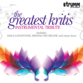 The Greatest Kritis: Instrumental Tribute - Various Artists