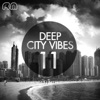 Deep City Vibes, Vol. 11, 2014