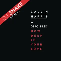 How Deep Is Your Love (DJ Snake Remix) Song Lyrics