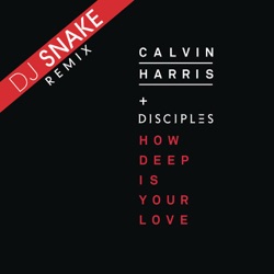 Calvin Harris - How Deep Is Your Love