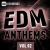 EDM Anthems Vol. 02, 2013