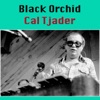 Cal Tjader - Mambo At the M