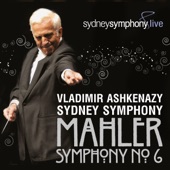 Mahler: Symphony No. 6 in A Minor (Live) artwork
