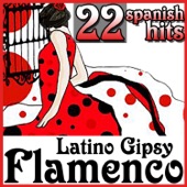 22 Spanish Hits Latino Gipsy Flamenco artwork