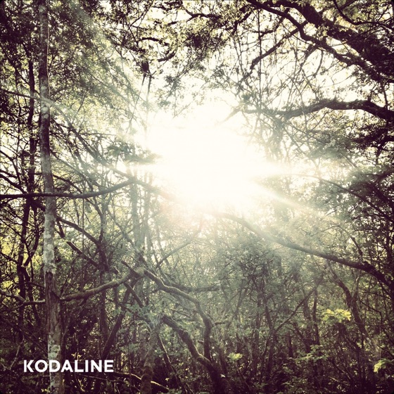 Cover artwork for Lose Your Mind