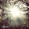 Lose Your Mind - Single