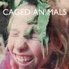 Caged Animals - What You're Looking For