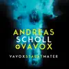 Vavox Stabat Mater album lyrics, reviews, download