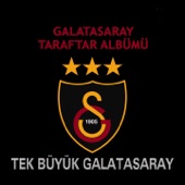 Tek Büyük Galatasaray artwork