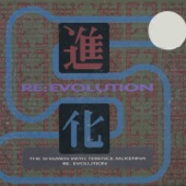 Re: Evolution (Shamen Vocal Mix) [Edit] artwork