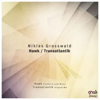 Hawk / Transatlantik - Single by Niklas Grosswald album reviews, ratings, credits