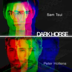 Dark Horse (feat. Sam Tsui) - Single by Peter Hollens album reviews, ratings, credits