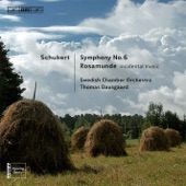 Symphony No. 6 in C Major, D. 589: I. Adagio - Allegro artwork