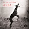 Las Ratas Y Los Piojos - Alfa lyrics