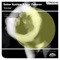 Circles - Igor Zaharov & Sober System lyrics